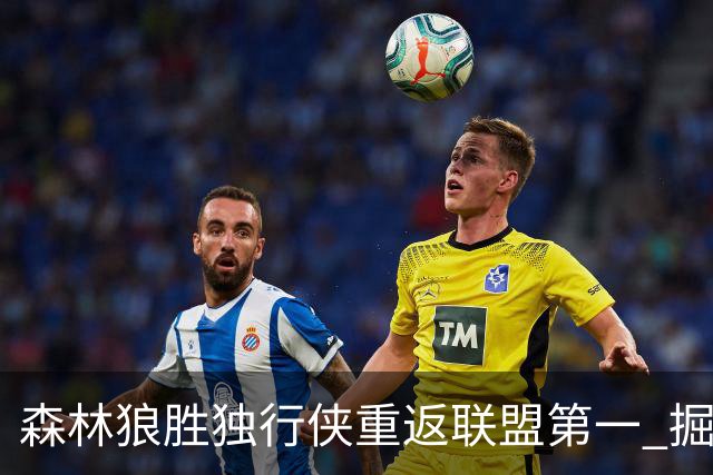 森林狼胜独行侠重返联盟第一 掘金胜篮网3连胜